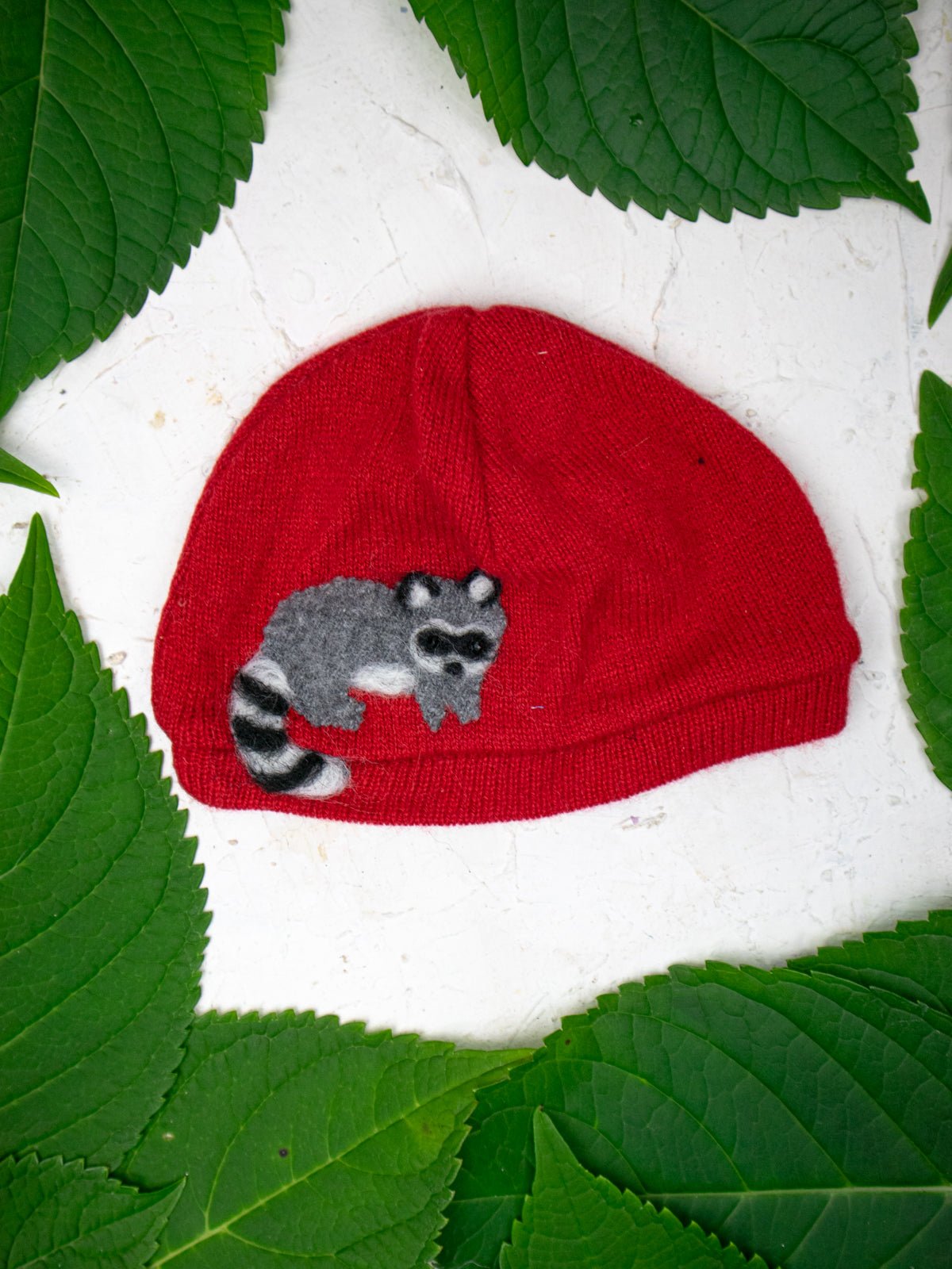 Raccoon Cashmere Hat - Baby - Che Cose Belle