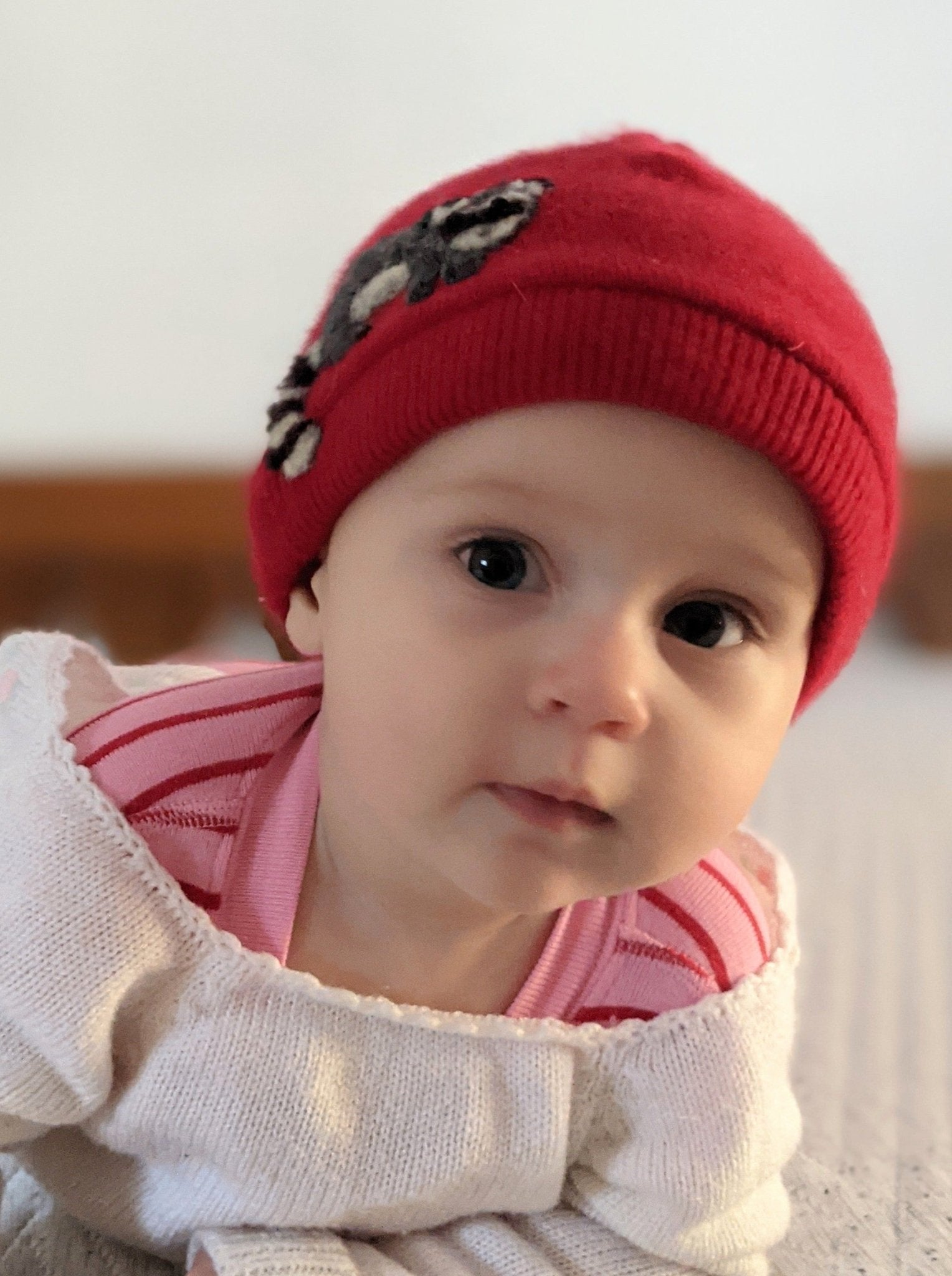 Raccoon Cashmere Hat - Baby - Che Cose Belle