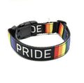 Rainbow Pride Dog Collar - Che Cose Belle