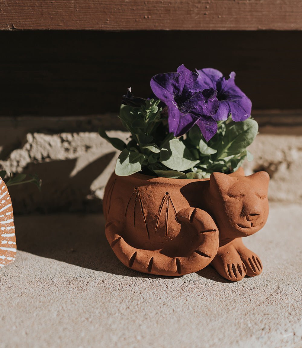 Rakshana Cat Plant Pot - Terracotta - Che Cose Belle