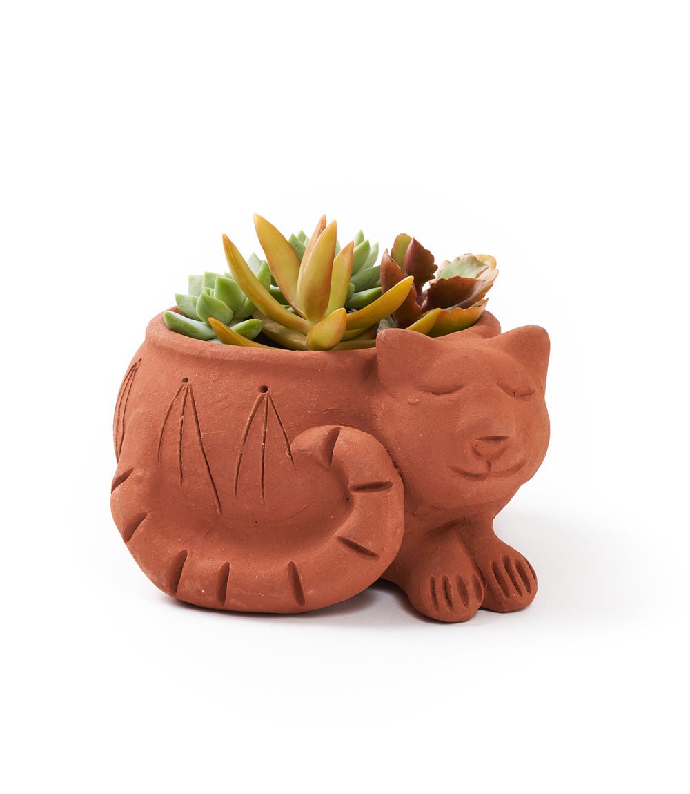 Rakshana Cat Plant Pot - Terracotta - Che Cose Belle