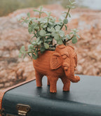 Rakshana Elephant Plant Pot - Terracotta - Che Cose Belle