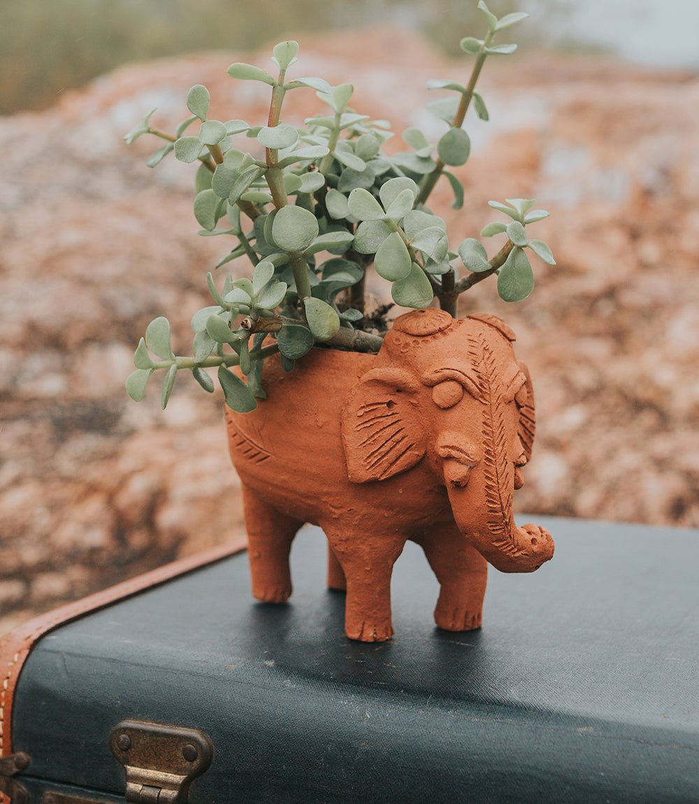 Rakshana Elephant Plant Pot - Terracotta - Che Cose Belle