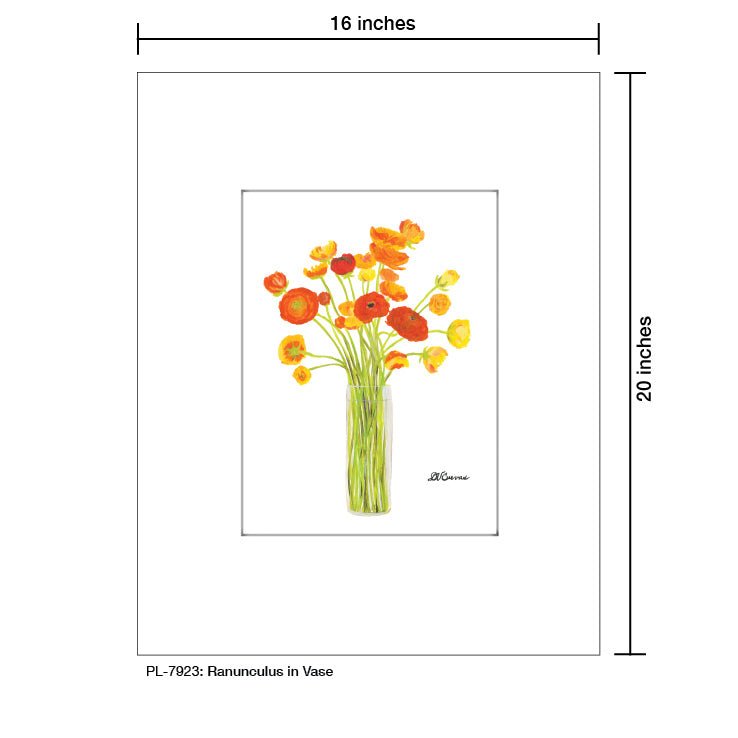 Ranunculus in Vase, Print (7923A) - Che Cose Belle