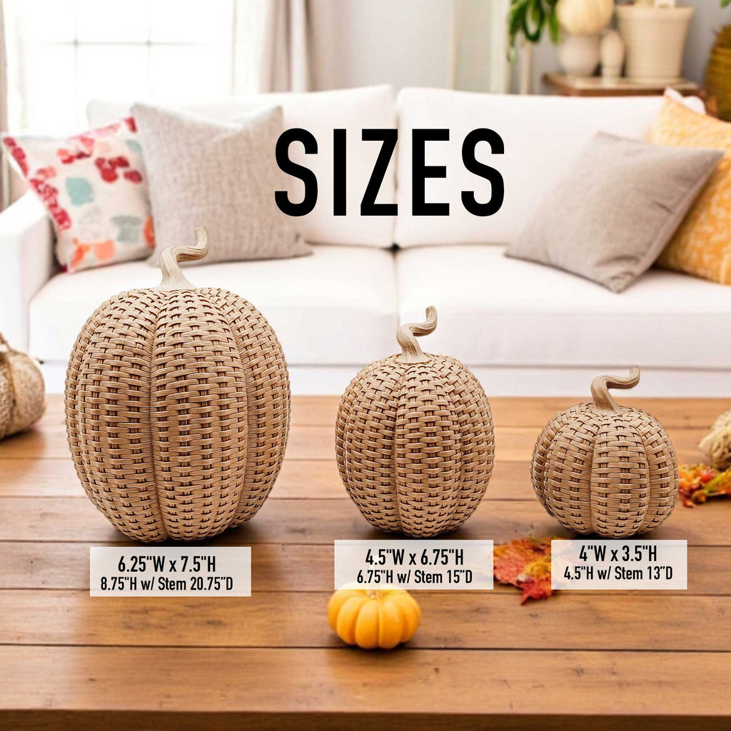 Rattan Pumpkins - Che Cose Belle