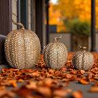 Rattan Pumpkins - Che Cose Belle