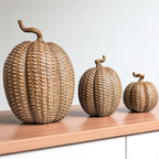 Rattan Pumpkins - Che Cose Belle