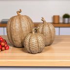 Rattan Pumpkins - Che Cose Belle