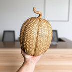 Rattan Pumpkins - Che Cose Belle