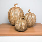 Rattan Pumpkins - Che Cose Belle