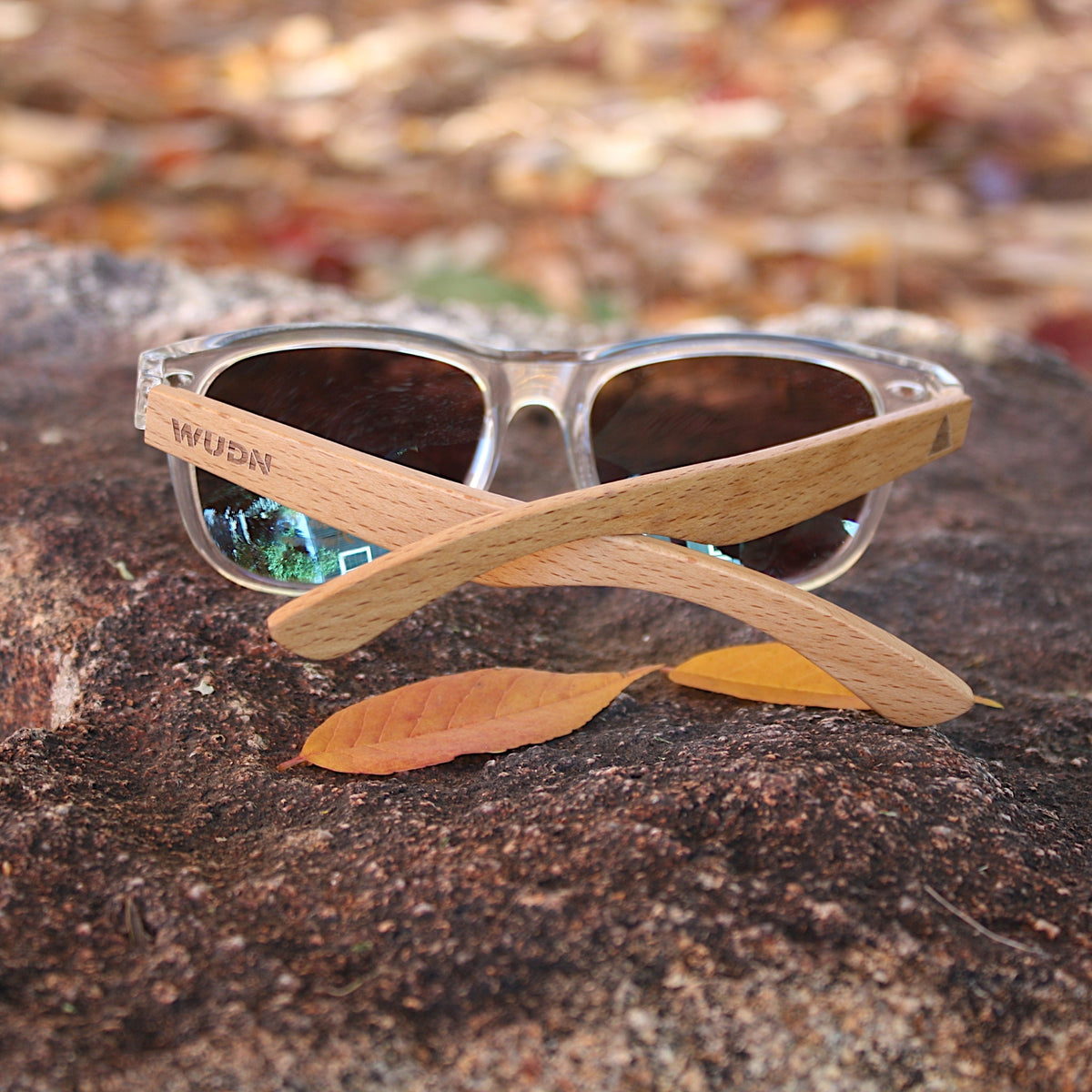 Real Beechwood Wanderer Sunglasses by WUDN - Che Cose Belle
