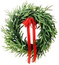 Real Touch Norfolk Pine Winter Wreath - Che Cose Belle