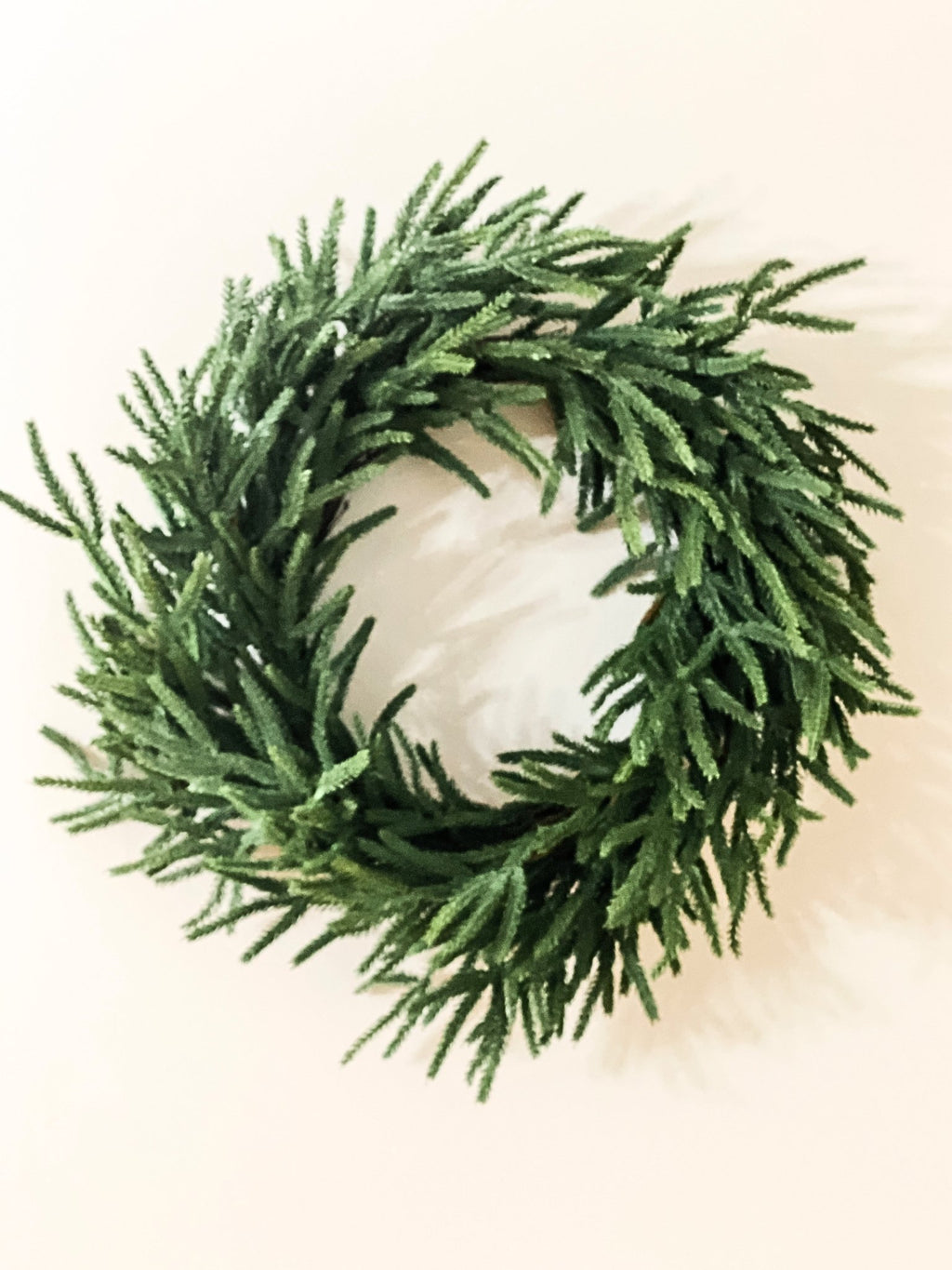 Real Touch Norfolk Pine Winter Wreath - Che Cose Belle