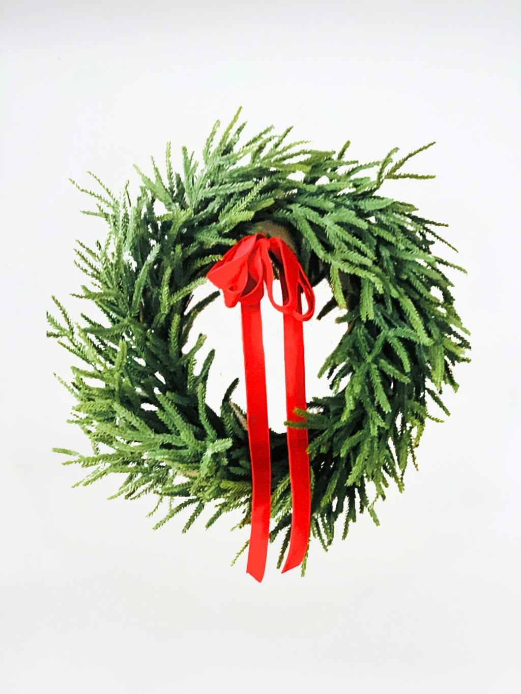 Real Touch Norfolk Pine Winter Wreath - Che Cose Belle