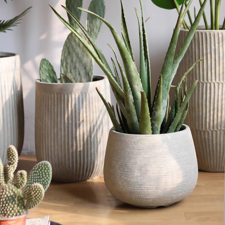 Rustic Globe Cement Planter - Che Cose Belle