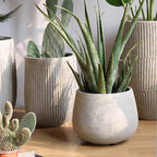 Rustic Globe Cement Planter - Che Cose Belle