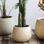 Rustic Globe Cement Planter - Che Cose Belle
