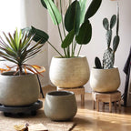 Rustic Globe Cement Planter - Che Cose Belle