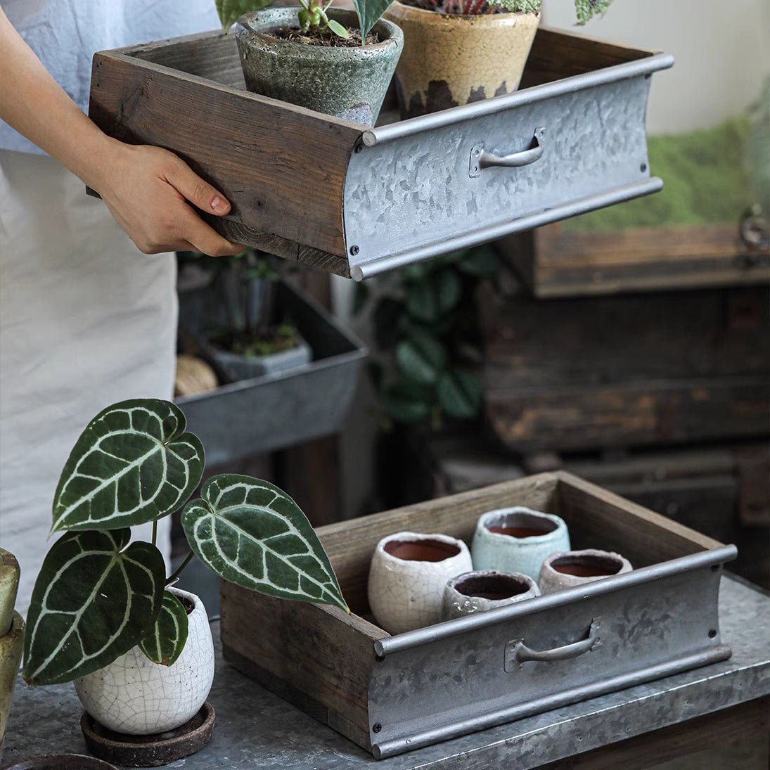 Rustic Wood and Metal Garden Tray Planter - Che Cose Belle