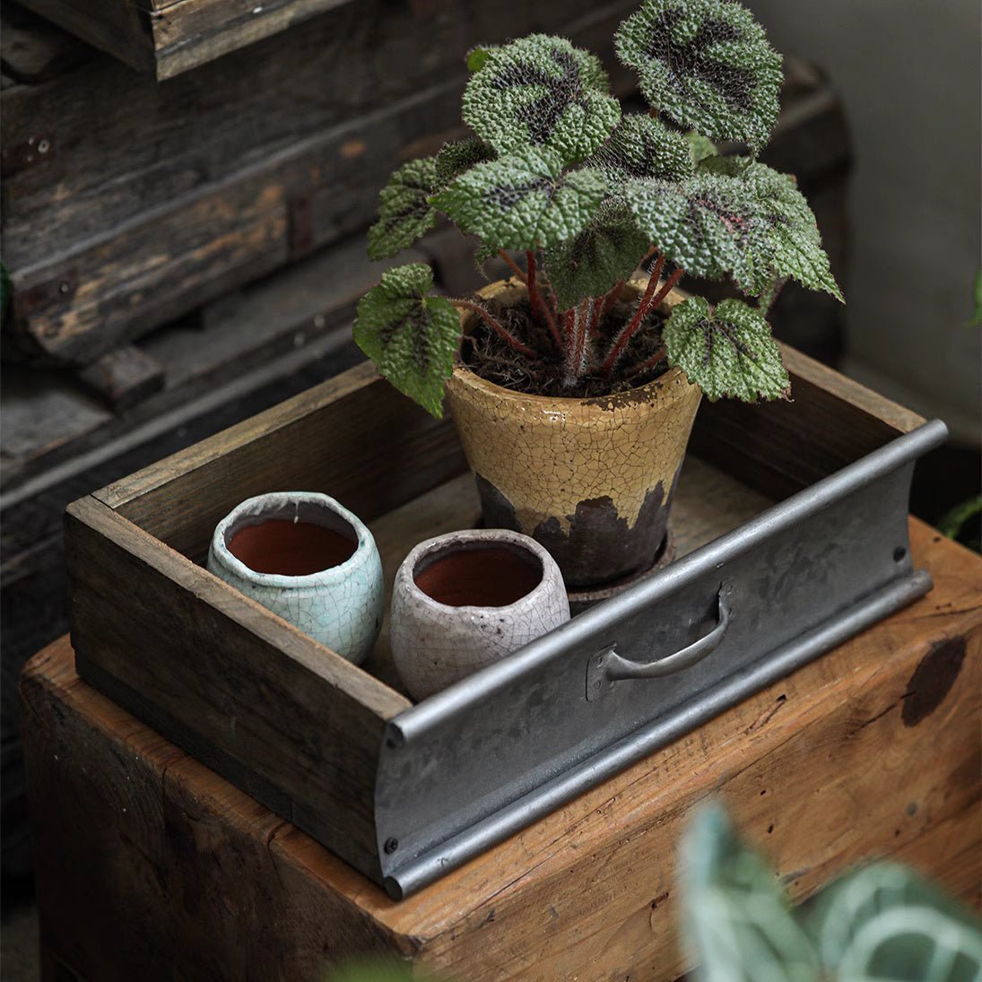 Rustic Wood and Metal Garden Tray Planter - Che Cose Belle