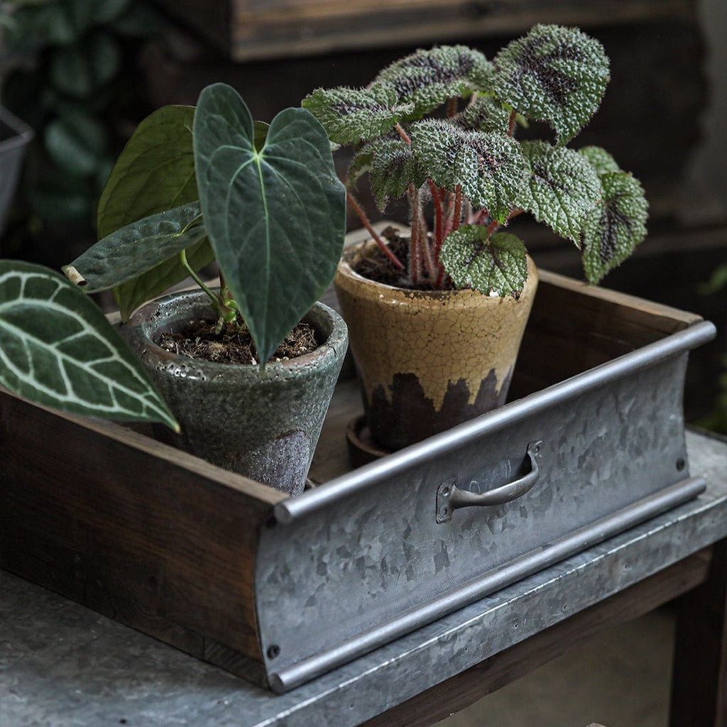 Rustic Wood and Metal Garden Tray Planter - Che Cose Belle