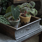 Rustic Wood and Metal Garden Tray Planter - Che Cose Belle