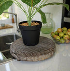 Rustic Wood Stand - Che Cose Belle