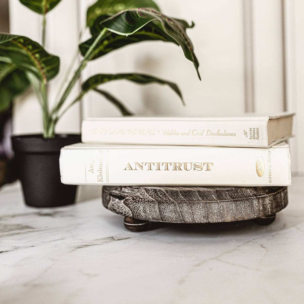 Rustic Wood Stand - Che Cose Belle