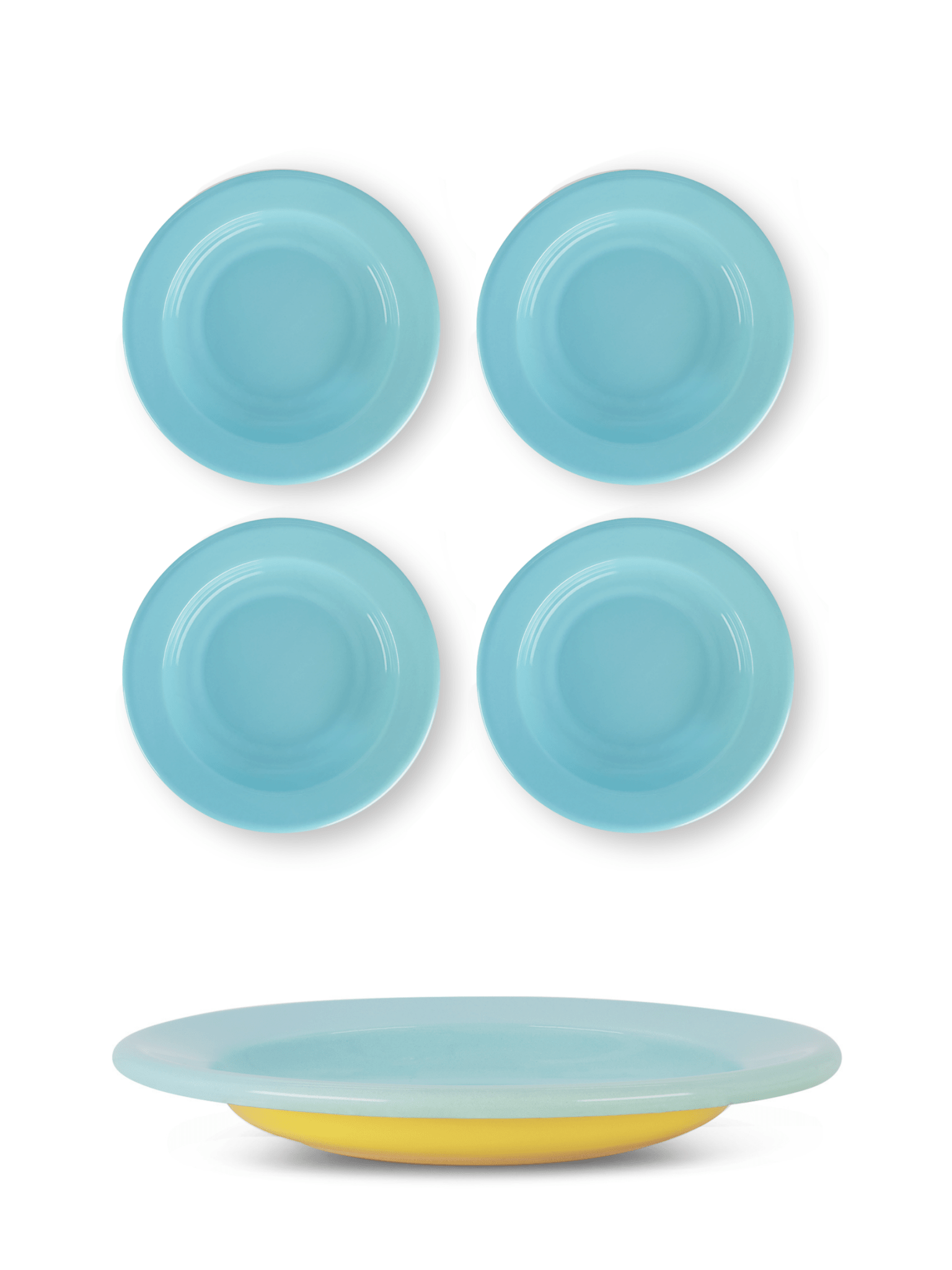 S/4 Enamel Dinner Bowl - Two Tone - Che Cose Belle