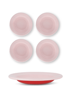 S/4 Enamel Dinner Bowl - Two Tone - Che Cose Belle