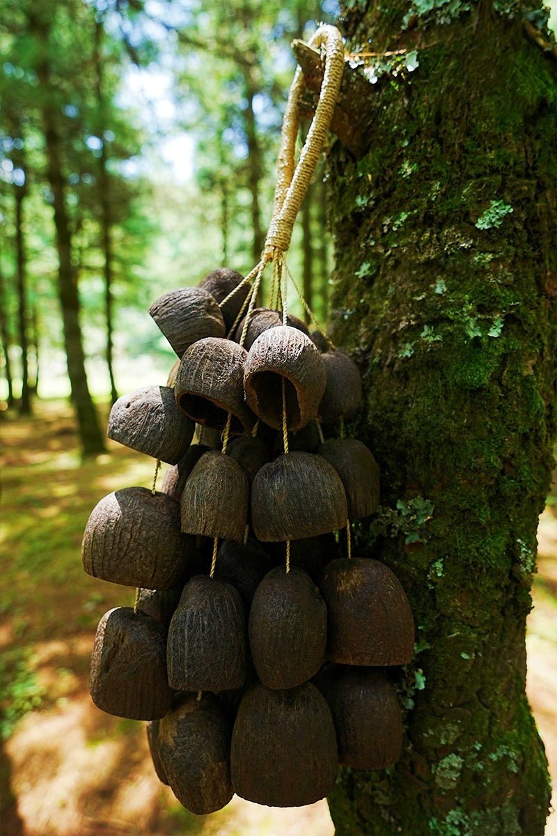 Salin Water Bellwood Seed Shaker | Hand Bell - Che Cose Belle