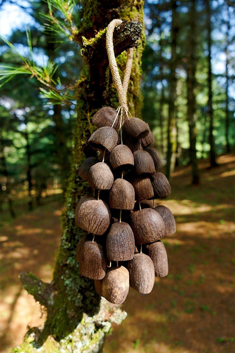 Salin Water Bellwood Seed Shaker | Hand Bell - Che Cose Belle