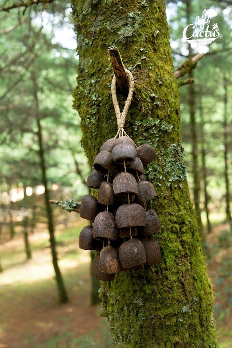 Salin Water Bellwood Seed Shaker | Hand Bell - Che Cose Belle