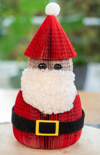 Santa Claus - Che Cose Belle
