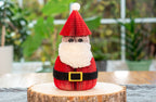 Santa Claus - Che Cose Belle