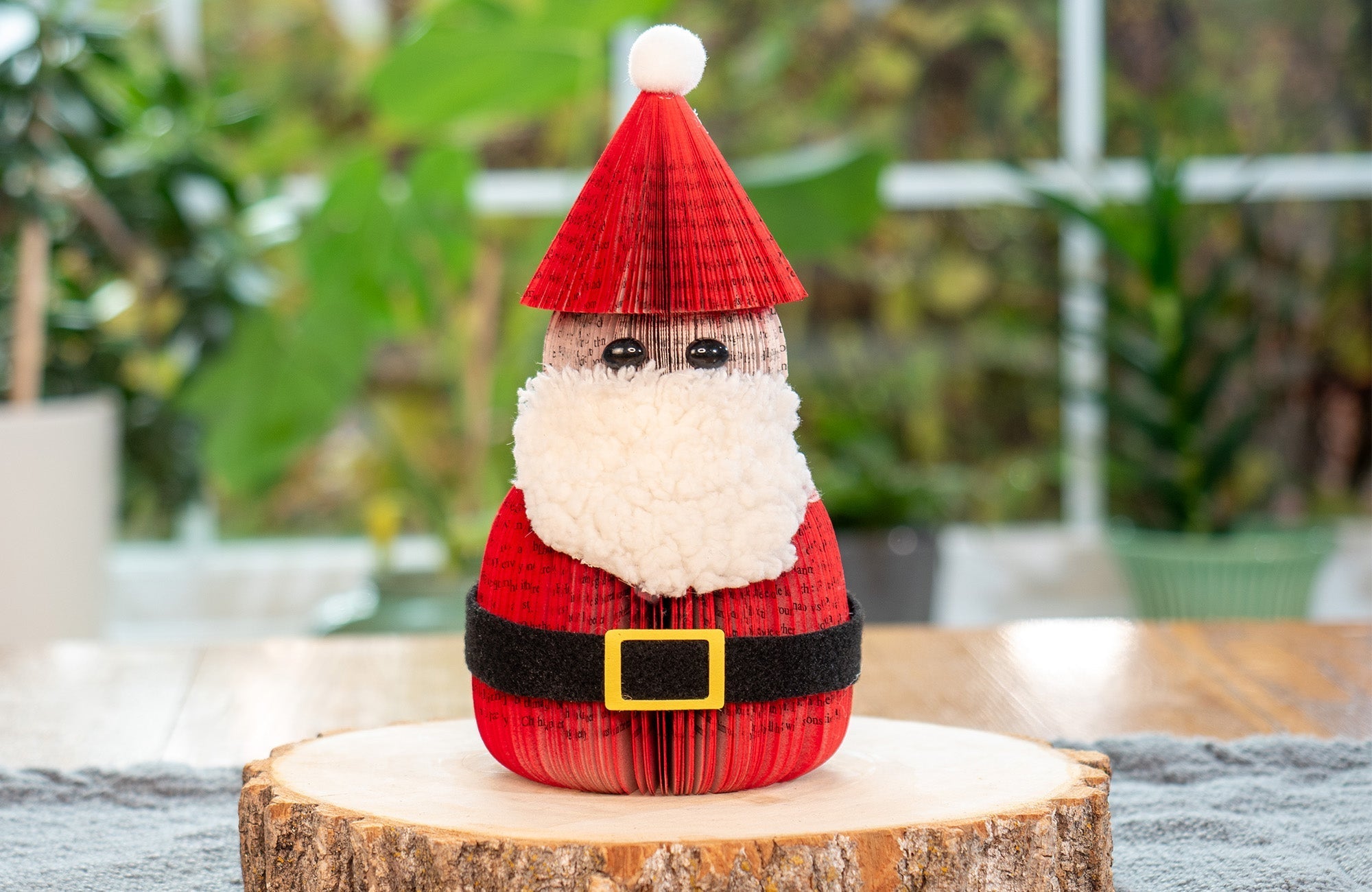 Santa Claus - Che Cose Belle