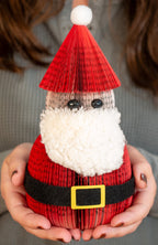 Santa Claus - Che Cose Belle