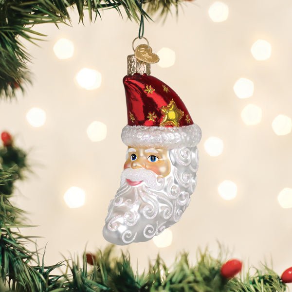 Santa Moon Face Glass Ornament - Che Cose Belle