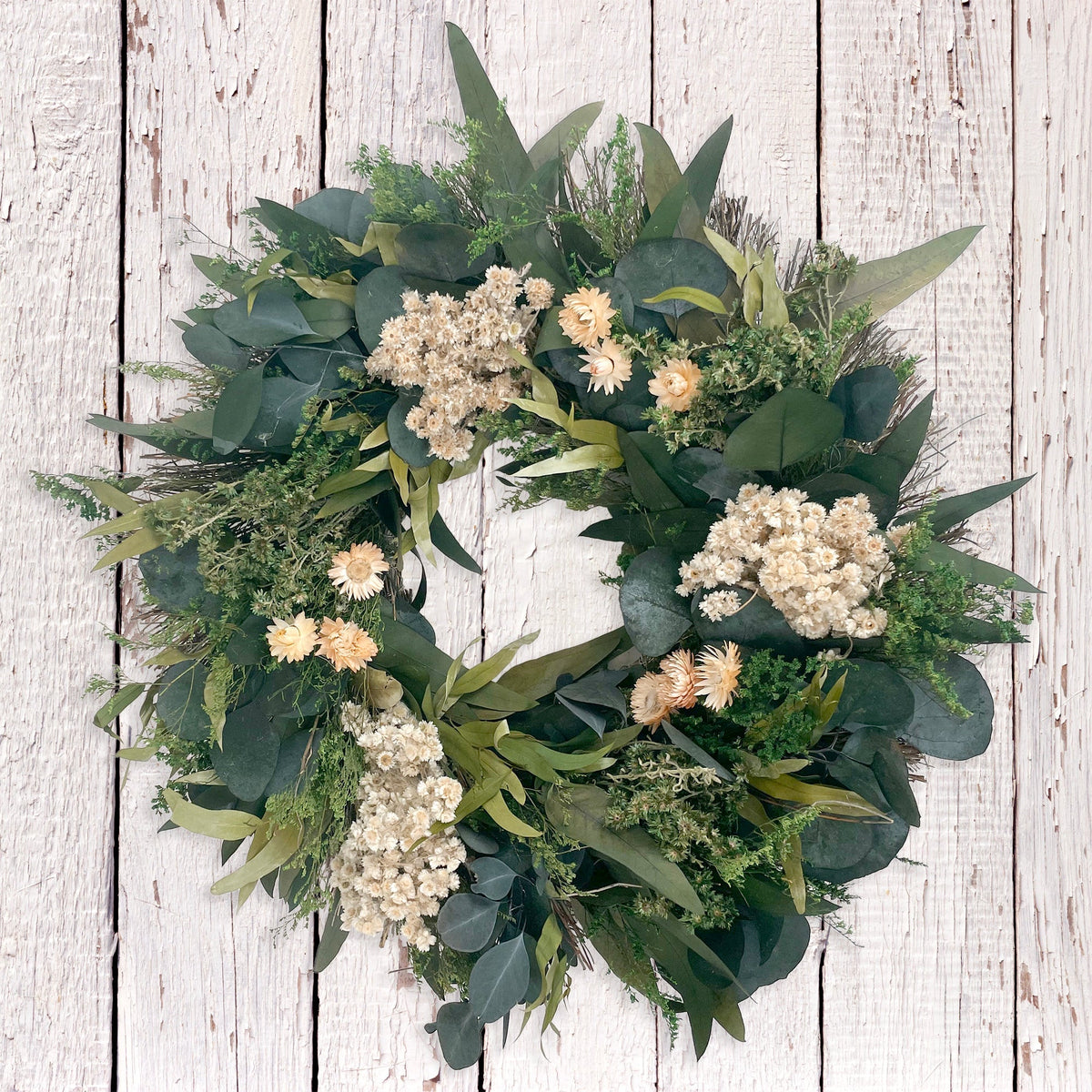 Santa Rose Wreath - Che Cose Belle