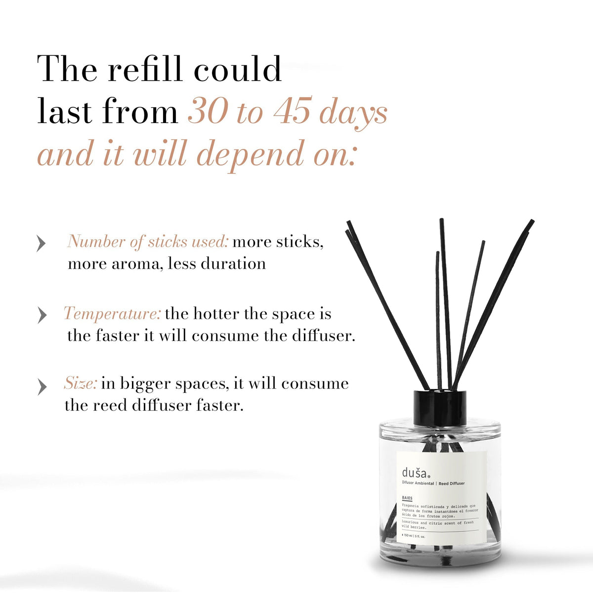 SANTAL - 5 FL OZ REED DIFFUSER - Che Cose Belle