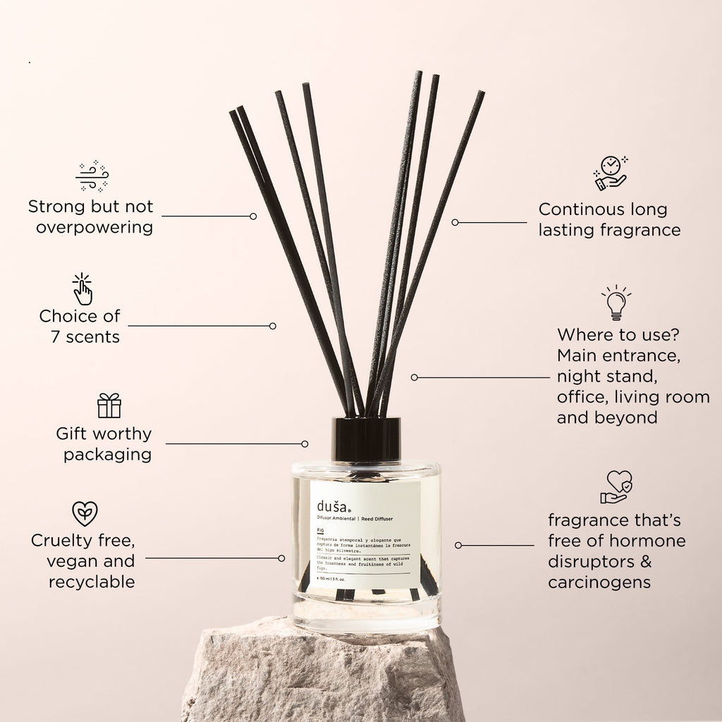 SANTAL - 5 FL OZ REED DIFFUSER - Che Cose Belle