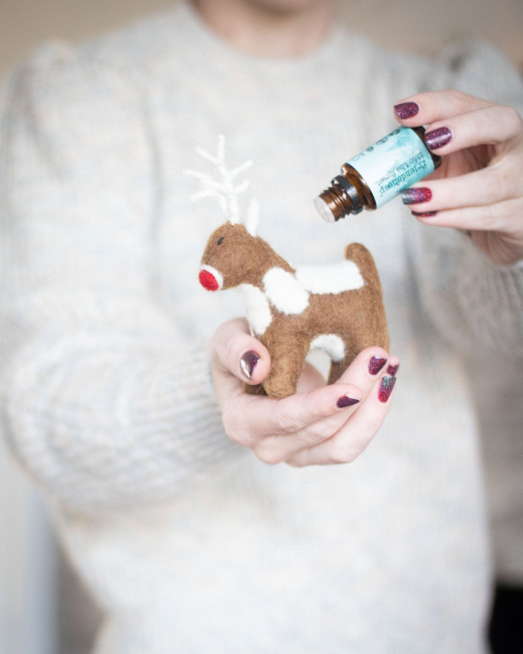 Santa's Reindeer - Set of 2 - Che Cose Belle