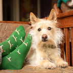 Save Dogs Gift Box - Che Cose Belle