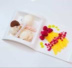 Sectional Salad Plate - Set of 4 pc - Che Cose Belle
