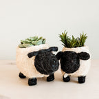 Sheep Planter - Coco Coir Pots - Che Cose Belle