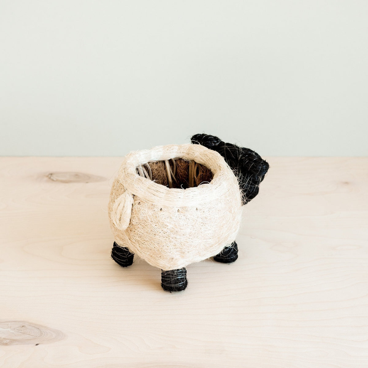 Sheep Planter - Coco Coir Pots - Che Cose Belle
