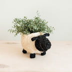 Sheep Planter - Coco Coir Pots - Che Cose Belle