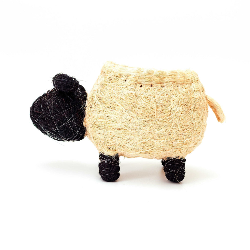 Sheep Planter - Coco Coir Pots - Che Cose Belle
