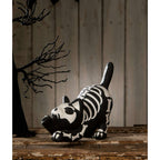 Skeleton Paper Mache Cat | Halloween Decor | Bethany Lowe - Che Cose Belle