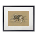 Sketched Dog Print in Black Frame - Che Cose Belle